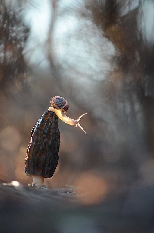 Ну снимай уже... фото превью