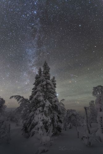 Стражи ночи