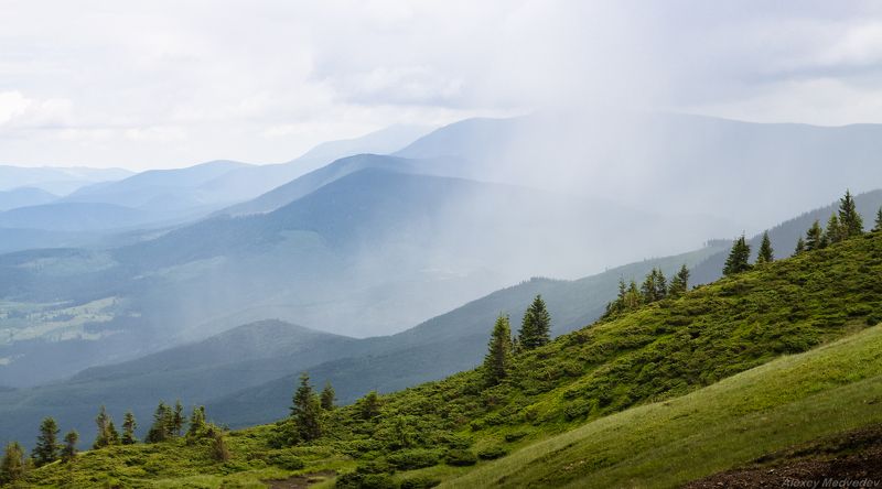 Карпаты, Украина, Свидовец Горный этюд фото превью