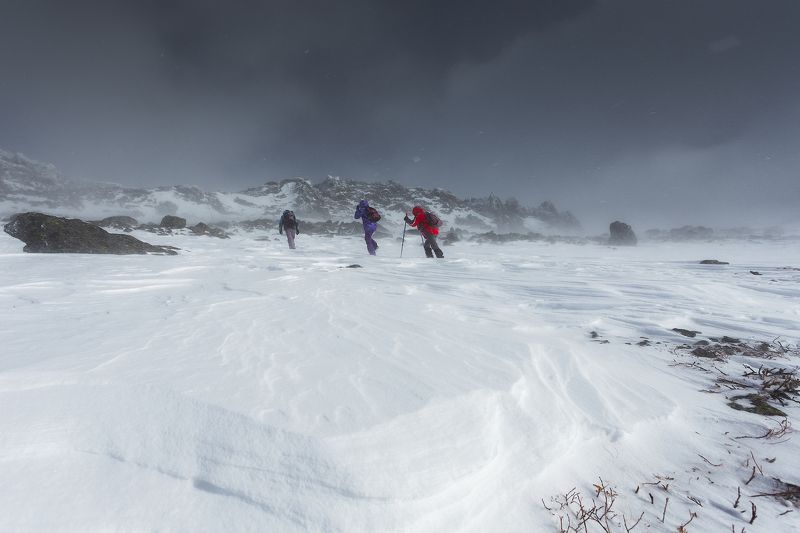 Только вперед! фото превью