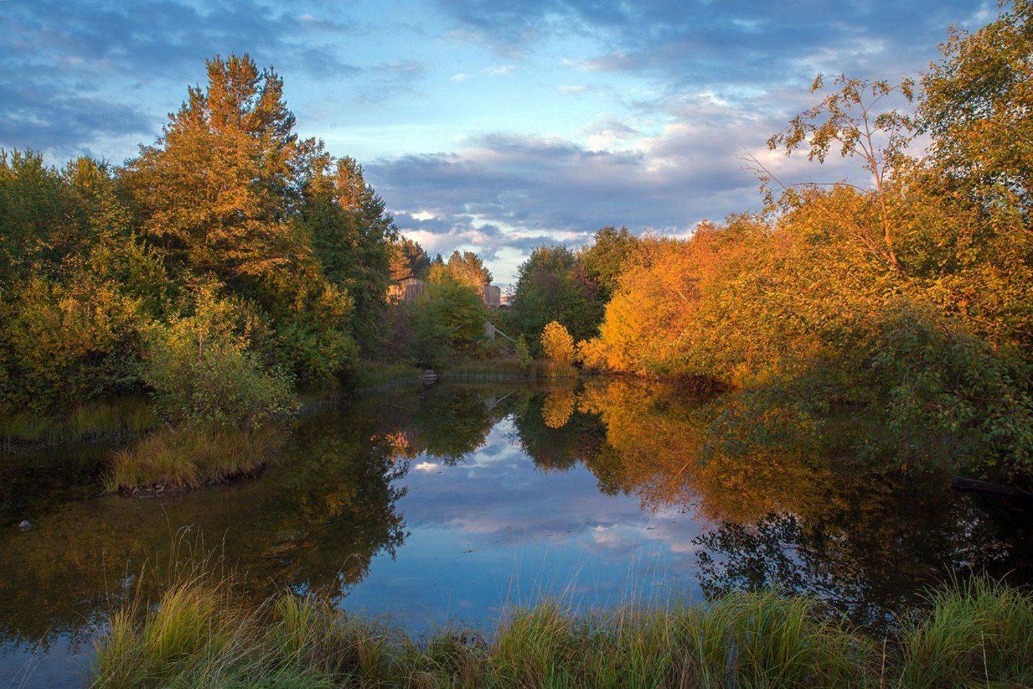 , Воинков Виктор