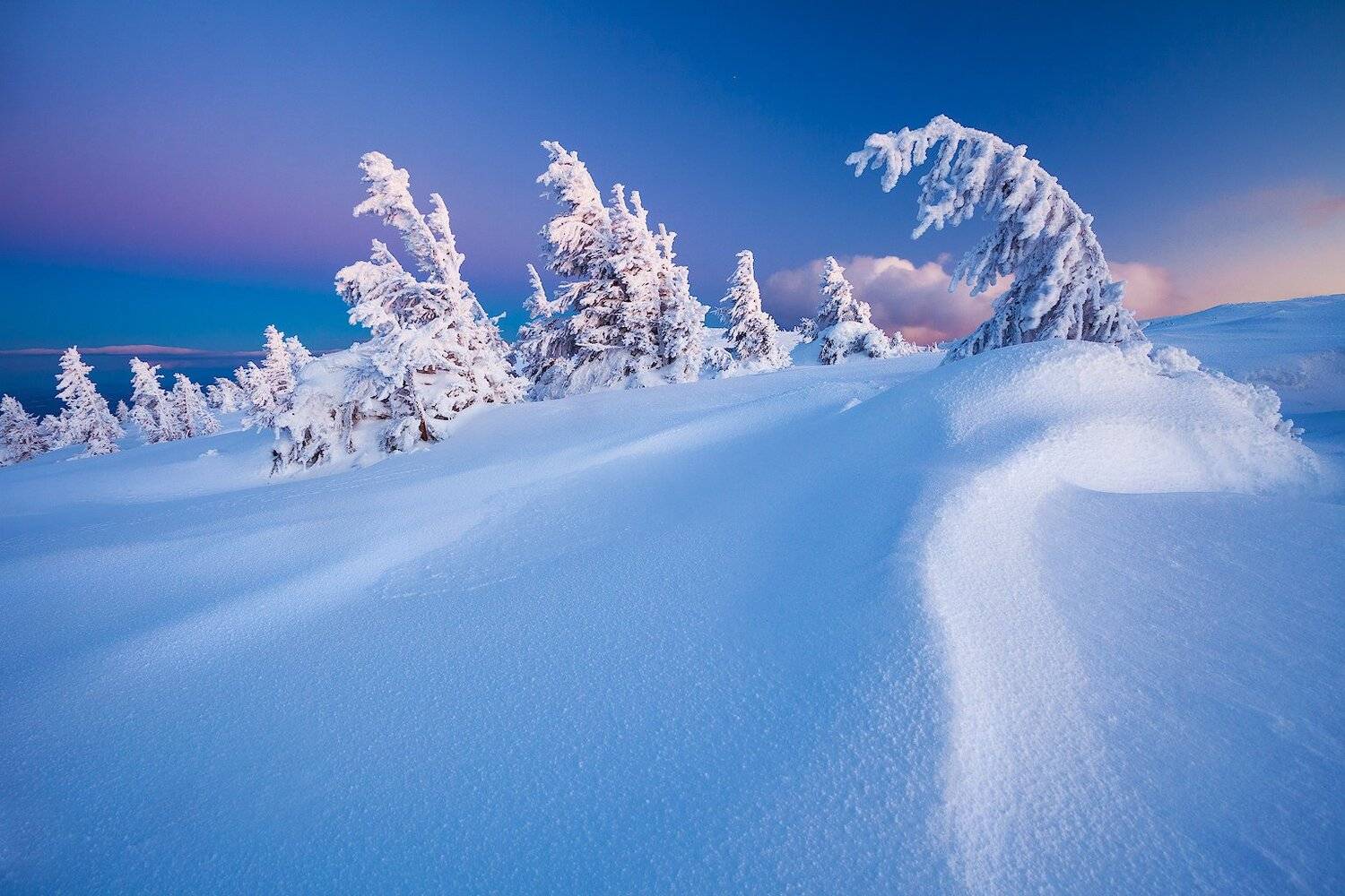 , Szabo Zsolt Andras