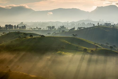 misty morning