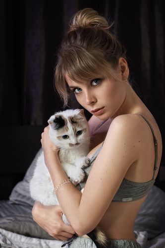 Cats