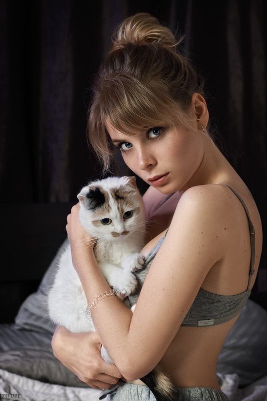 портрет, кошка Cats фото превью