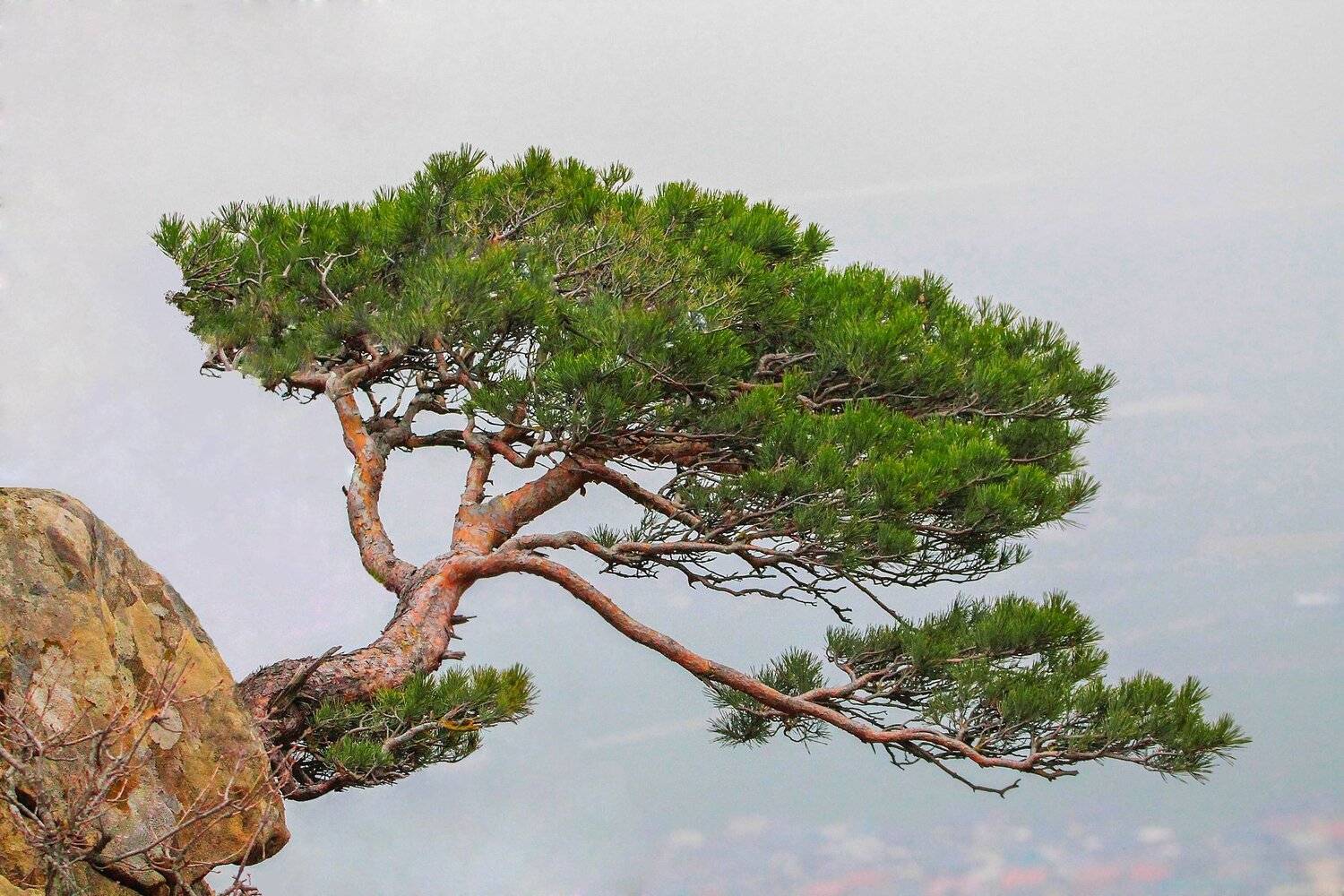 горы,осень,природа., Marat Magov