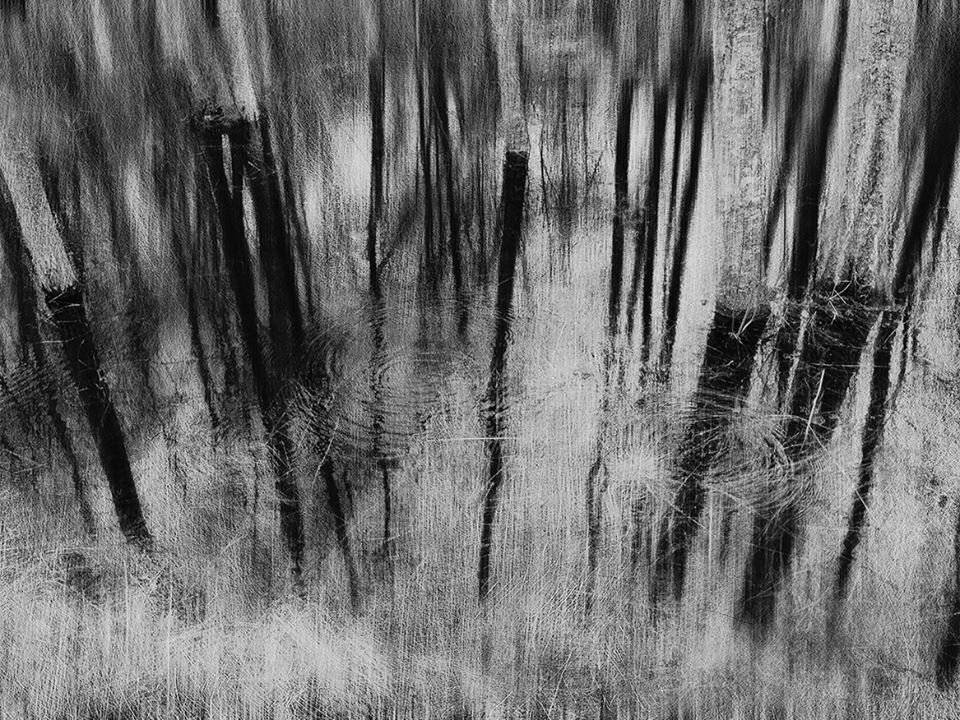 , Штабнов Юрий