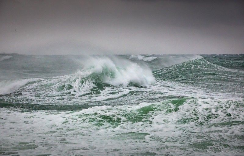 море,крым,пейзаж,шторм,россия,фототур,волна,волны,природа,севастополь Штормовое предупреждение фото превью