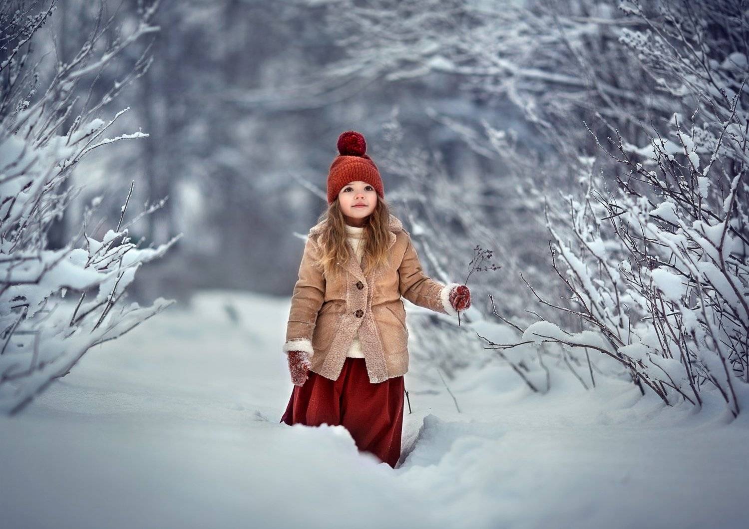 , Елена Силина