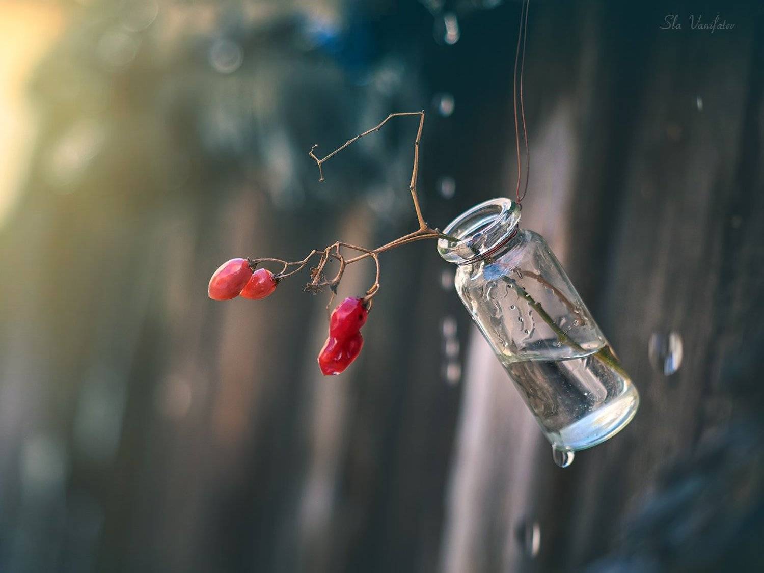 , Вячеслав Ванифатьев