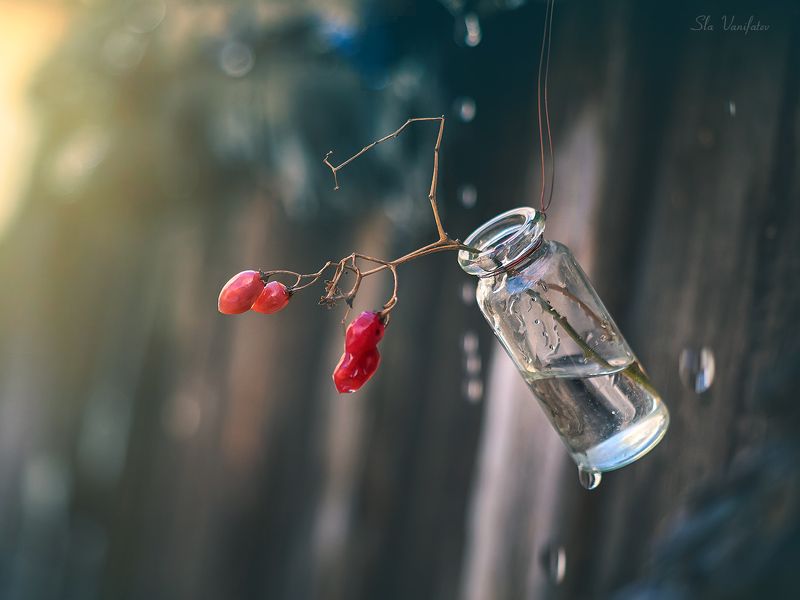 Март... фото превью