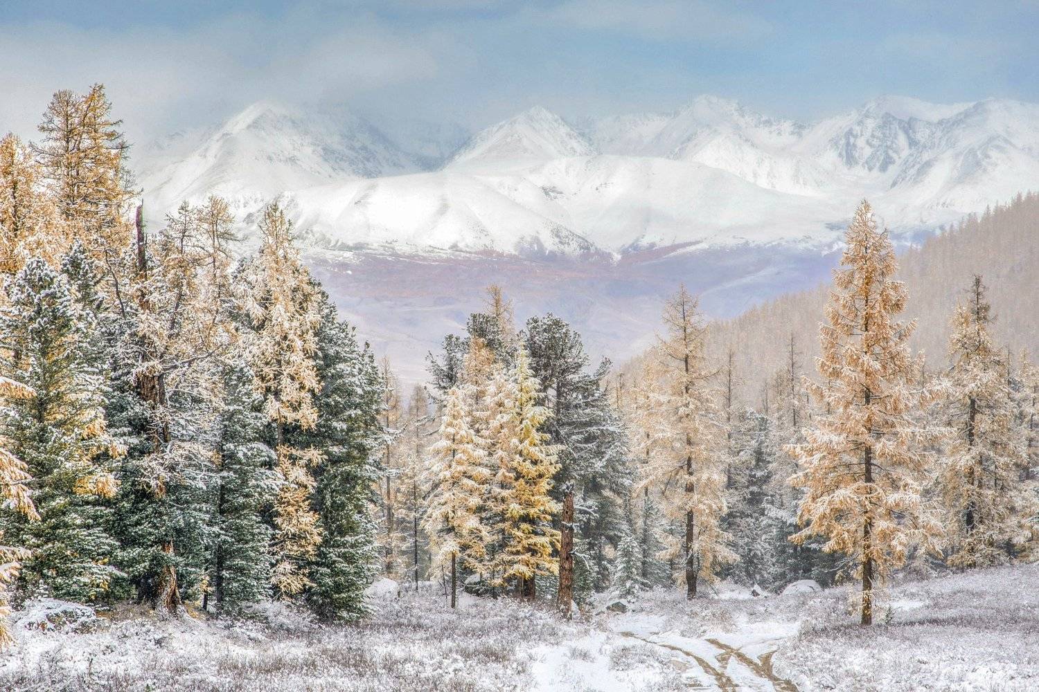 алтай,горы, Алексей Кретов