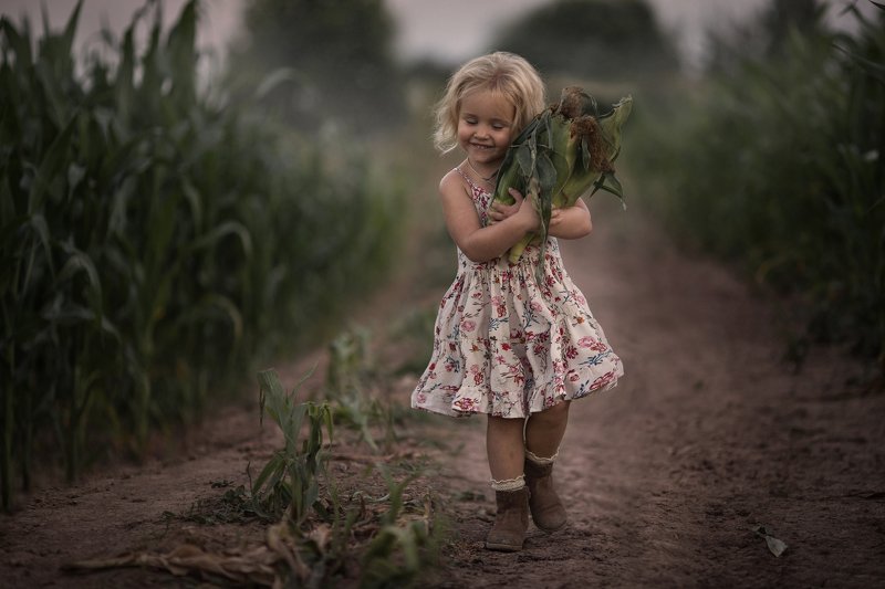 За кукурузой фото превью