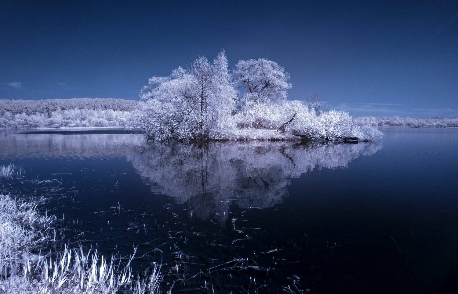 infrared,ик-фото,инфракрасное фото, инфракрасная фотография, пейзаж, весна, беларусь, Sixten ( Сергей )