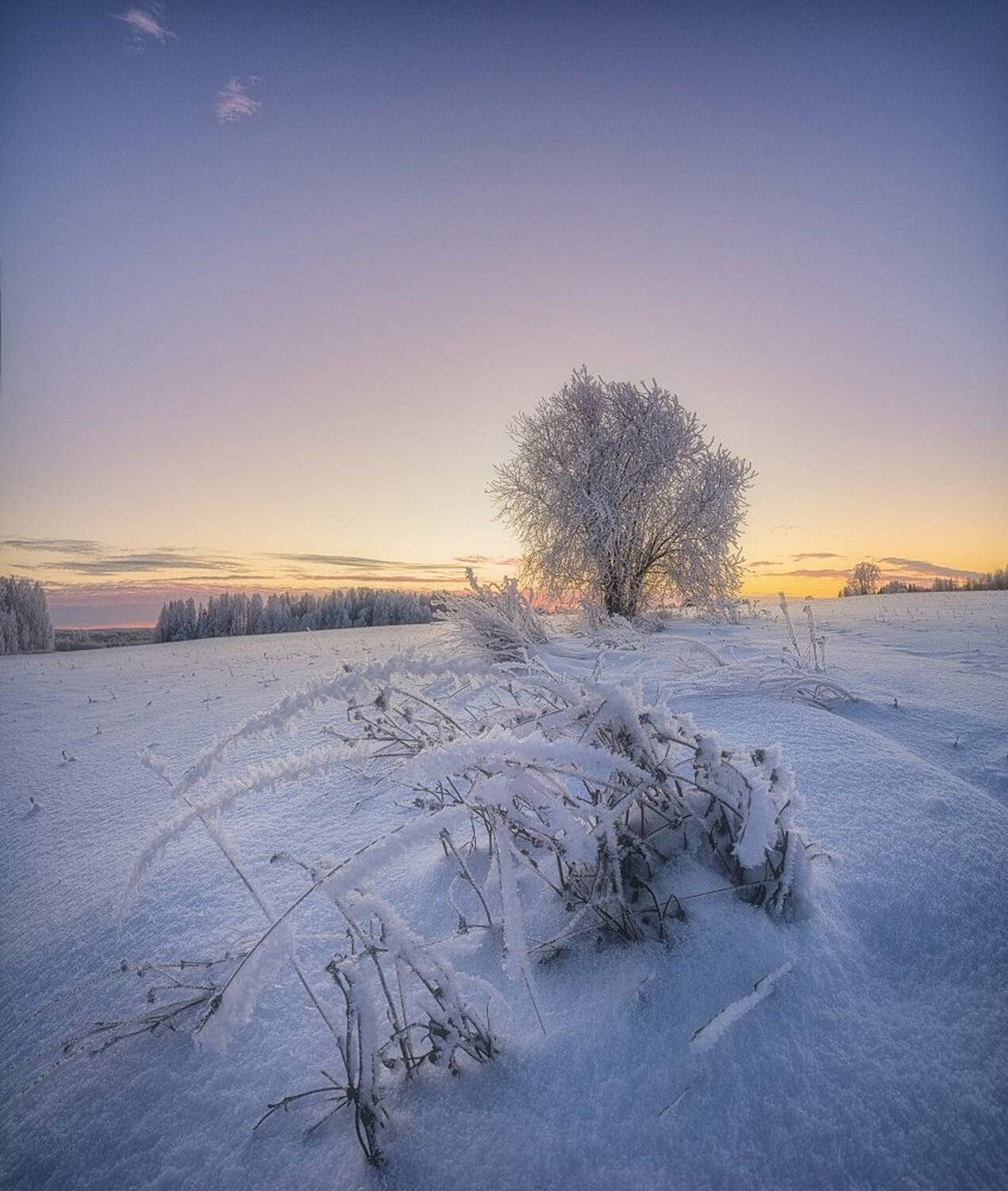 , Устюжанин Михаил