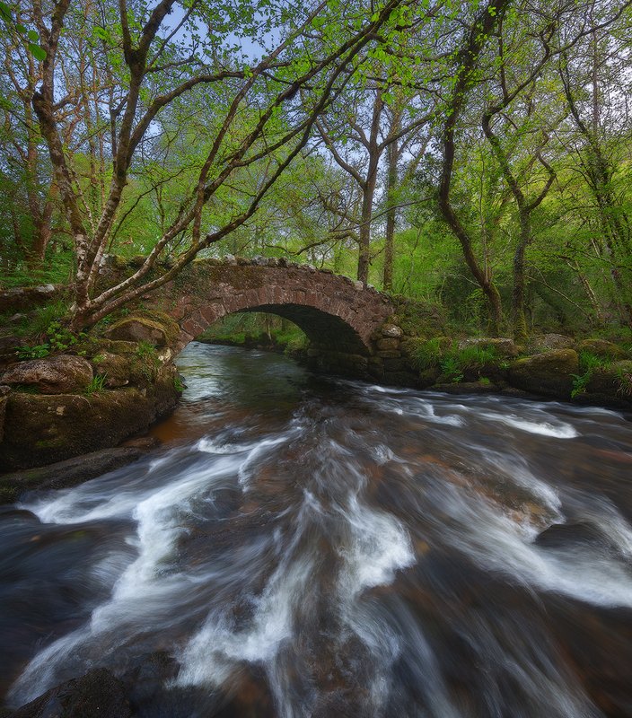 england, devon, dartmoor England. Devon фото превью