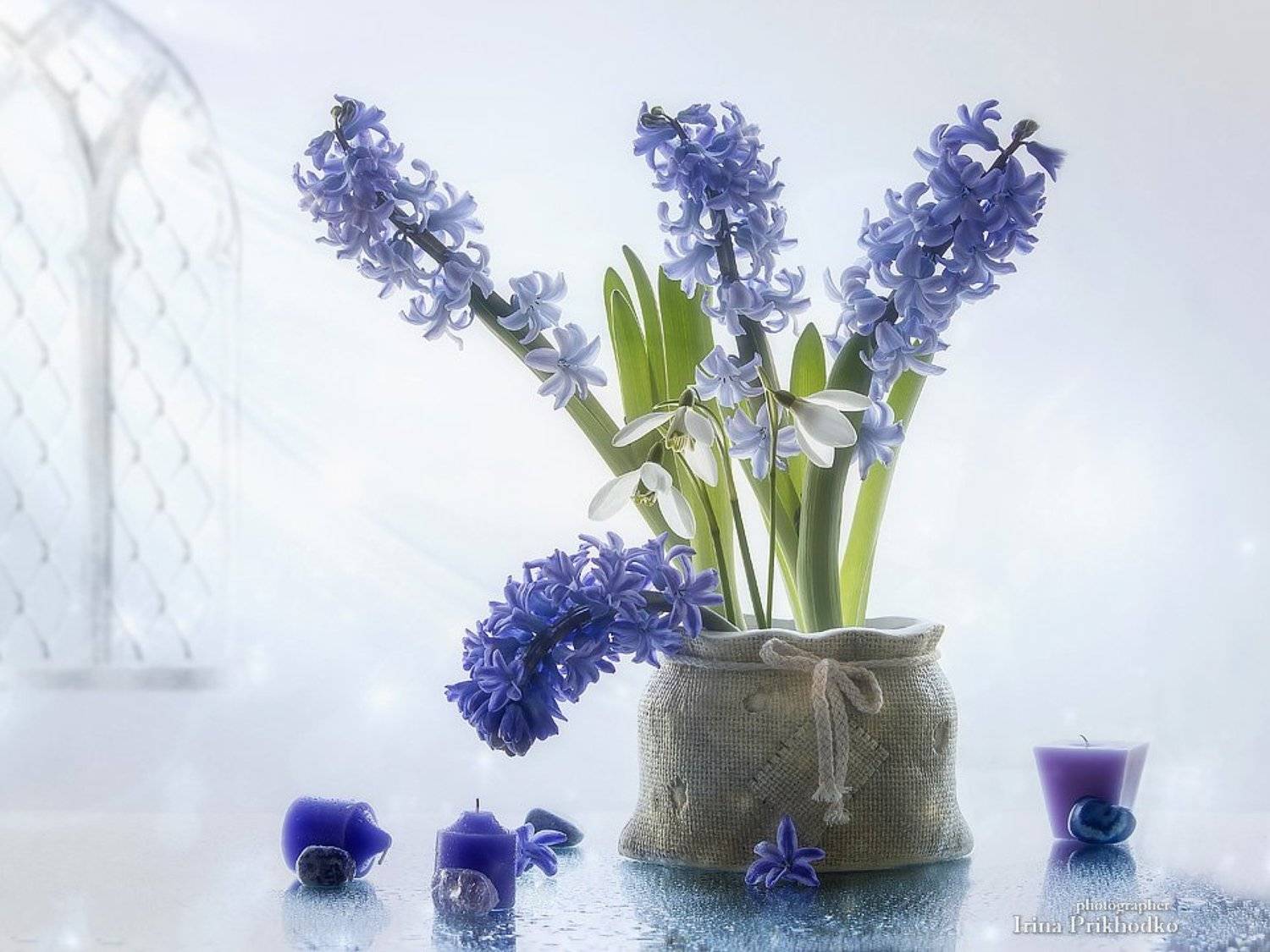 натюрморт, цветы, гиацинты, первоцветы, цветочный натюрморт, Ирина Приходько