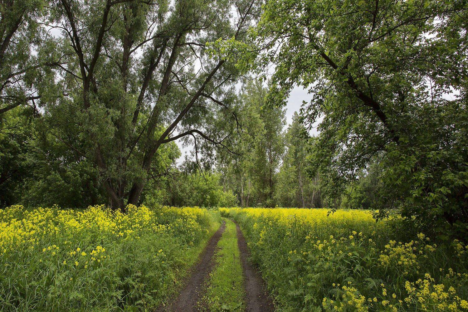 южный, урал, губерля орск, новотроицк, Качурин Алексей