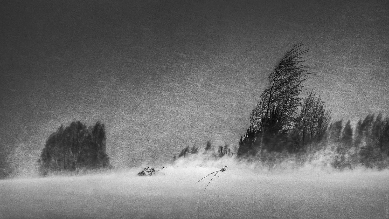 , Евгений Луцко