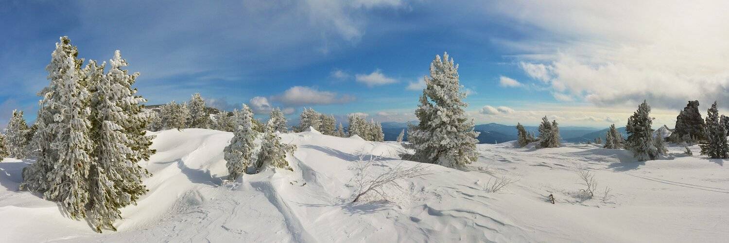 , Сергей Седов