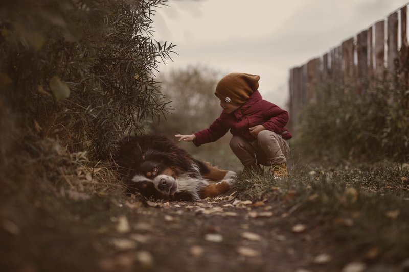 The story of friendship... фото превью