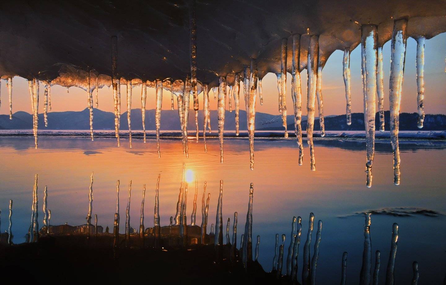 , suk eun kim