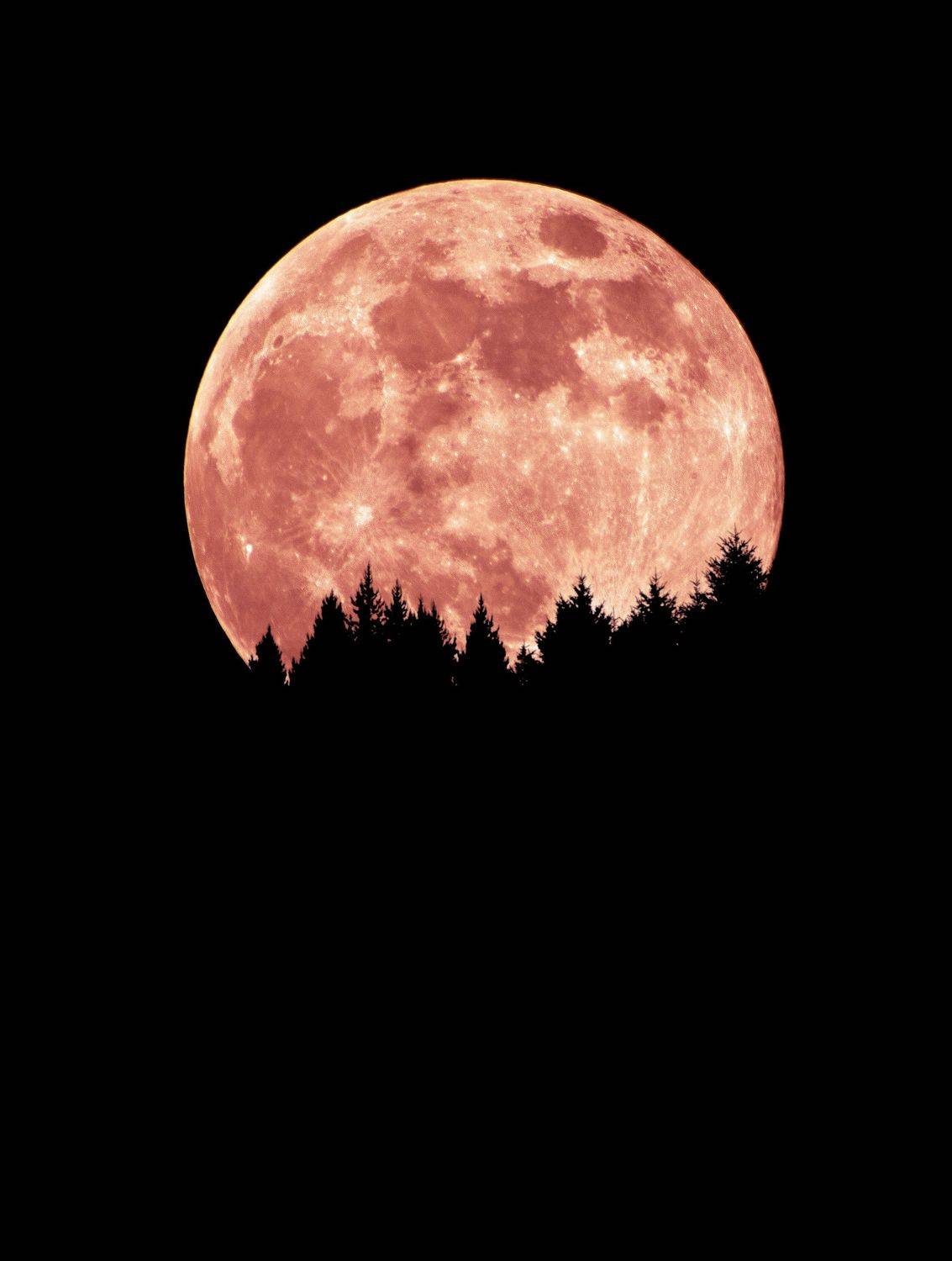 , Художников Павел