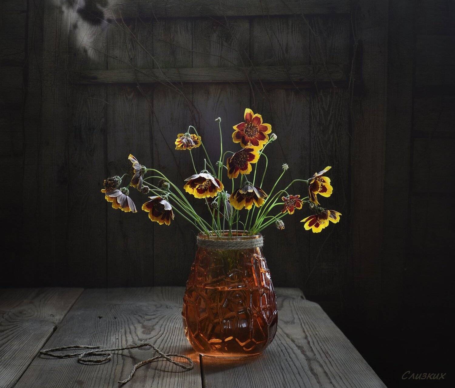 этюд, свет,цвет,букет, Инаида