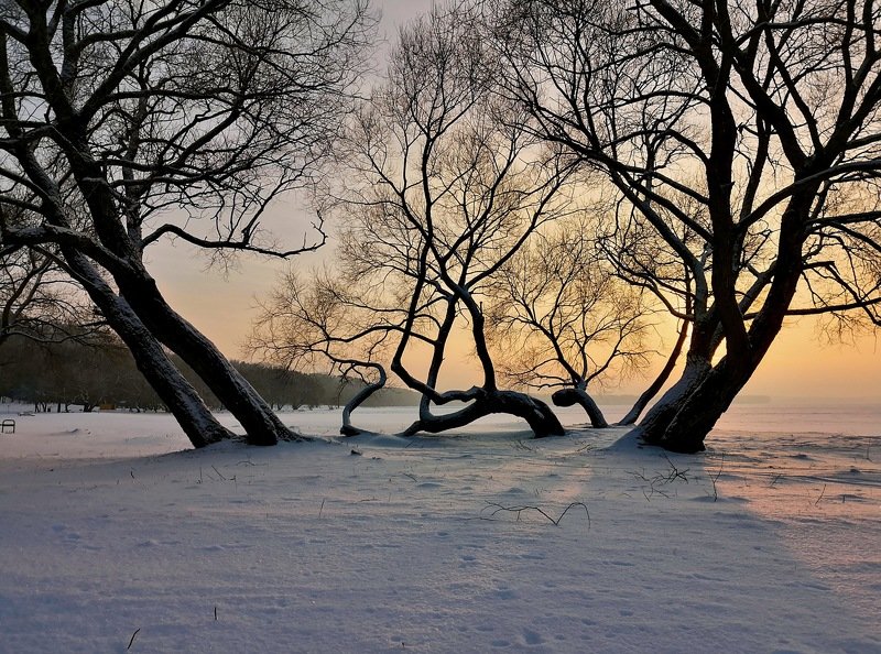 телефонофото , море , минск ... диминуэндо света ... фото превью