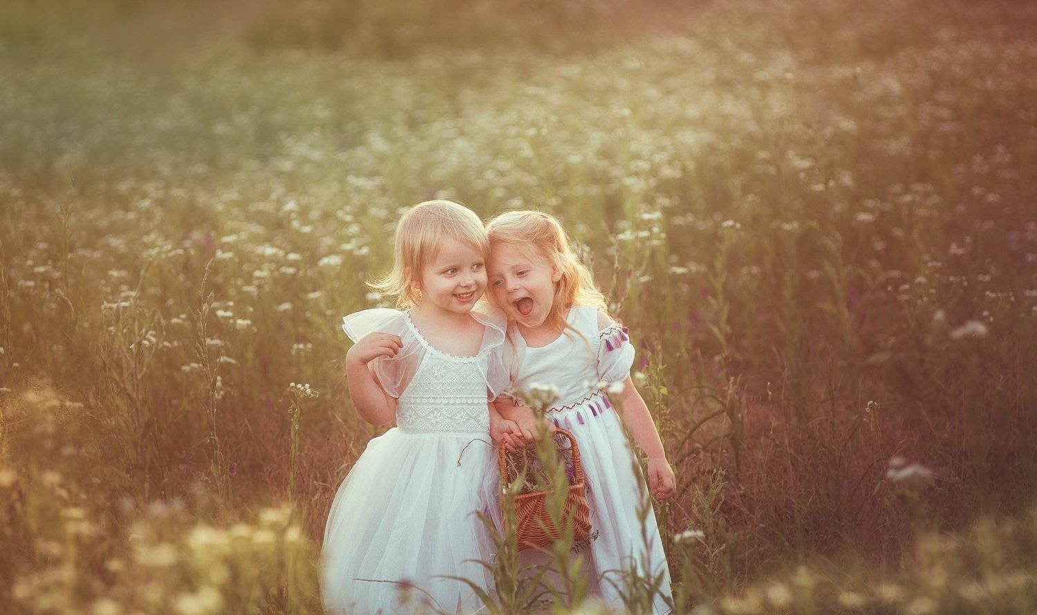 девочки, поле, закат, Светлана Червинская