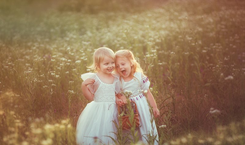 девочки, поле, закат  фото превью