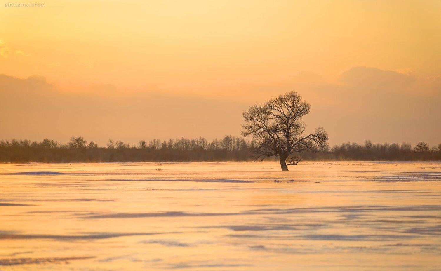  #алтай #чуйская #кокоря #чуя #Южно_Чуйский  #Altai #Бугузун, Кутыгин Эдуард