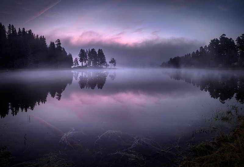 Quiet dreams фото превью