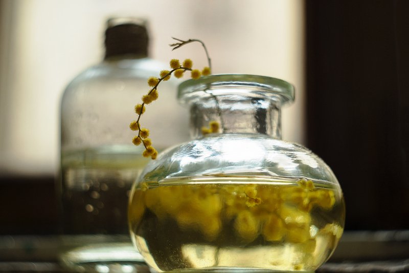 В янтаре фото превью