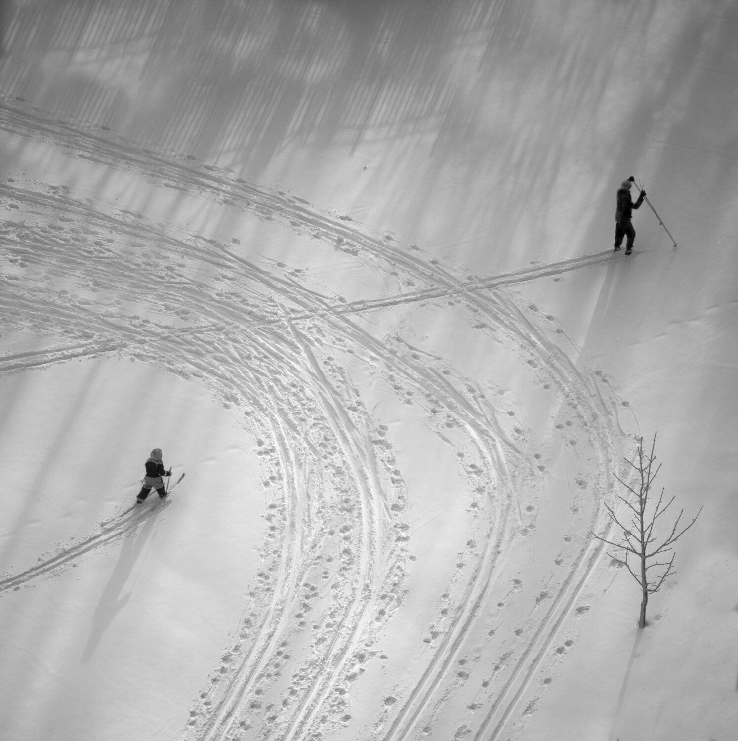 , Алексей Федотов