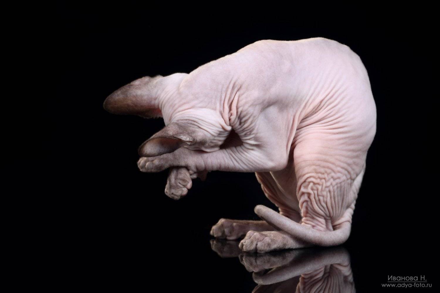 , Надежда Иванова