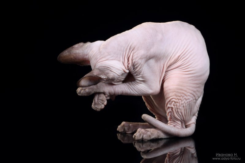 Уберите камеру, я без макияжа! фото превью