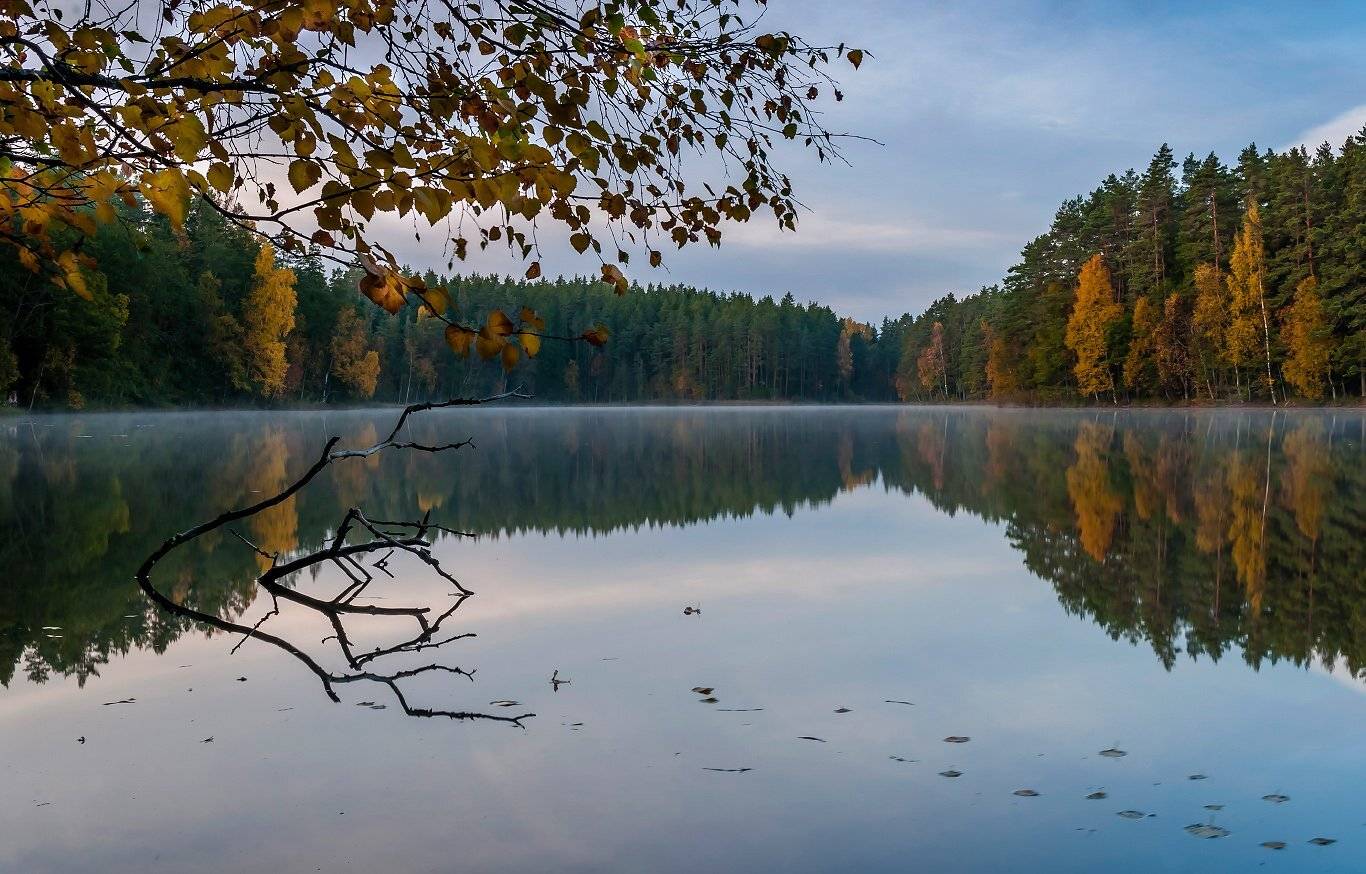 , Александр Абросимов