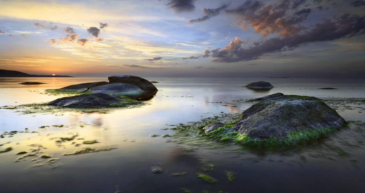 , Румен Паисиев