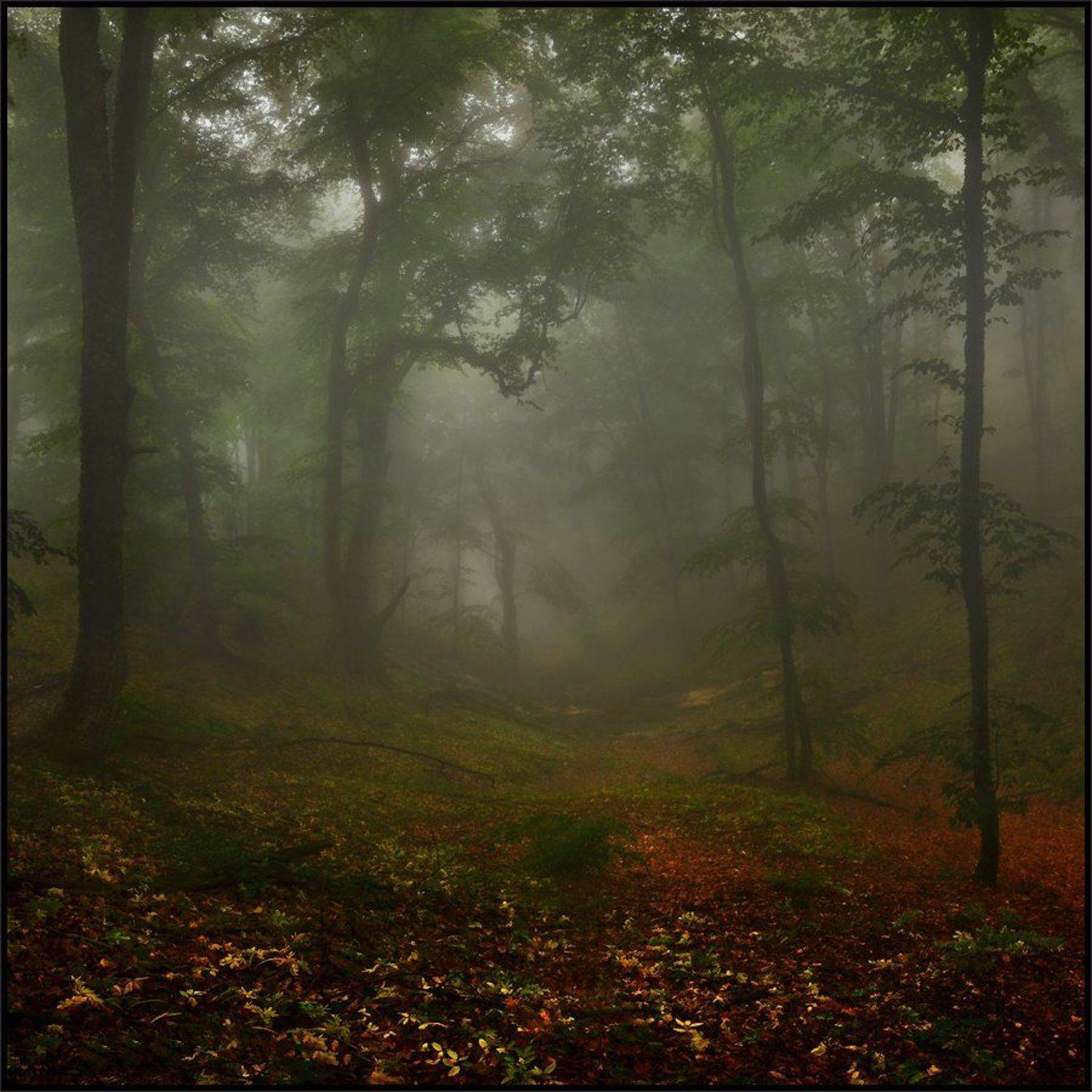 , Владимир Метцгер