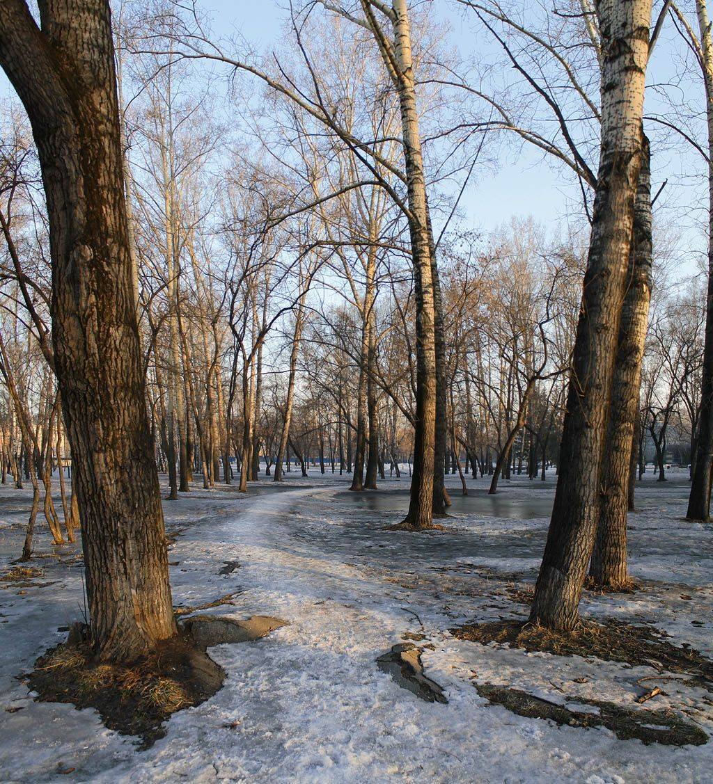 март, утро, парк, весна, Курочкина Диана