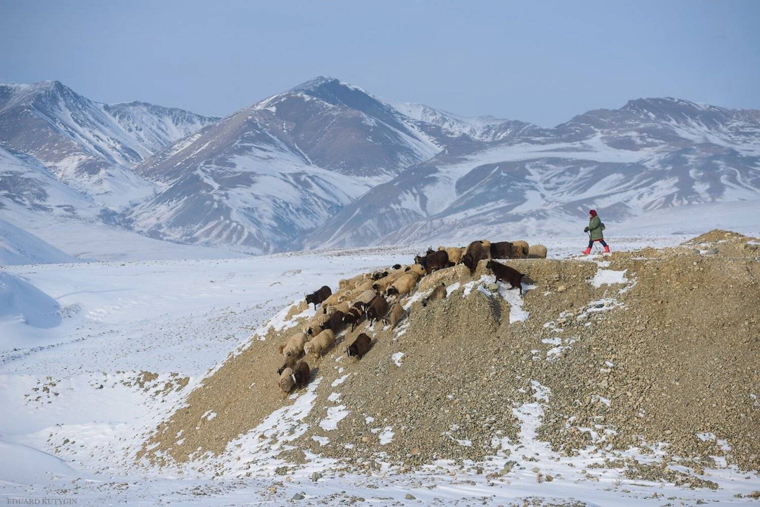  #алтай #чуйская #кокоря #чуя #Южно_Чуйский  #Altai , Кутыгин Эдуард