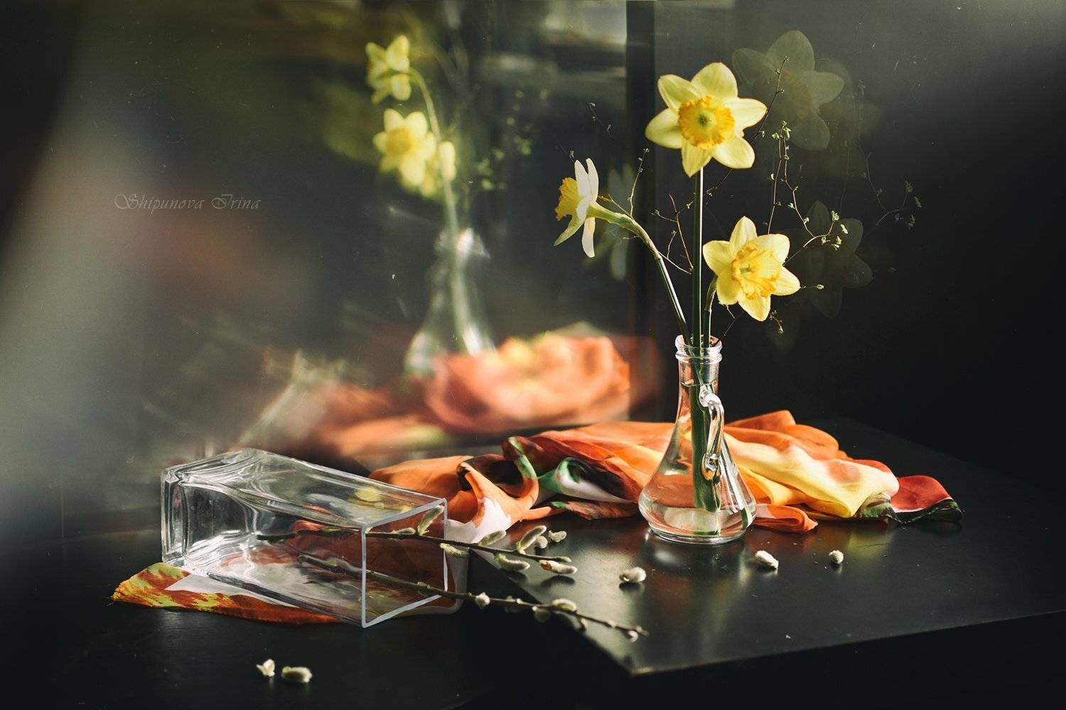 , Шипунова Ирина