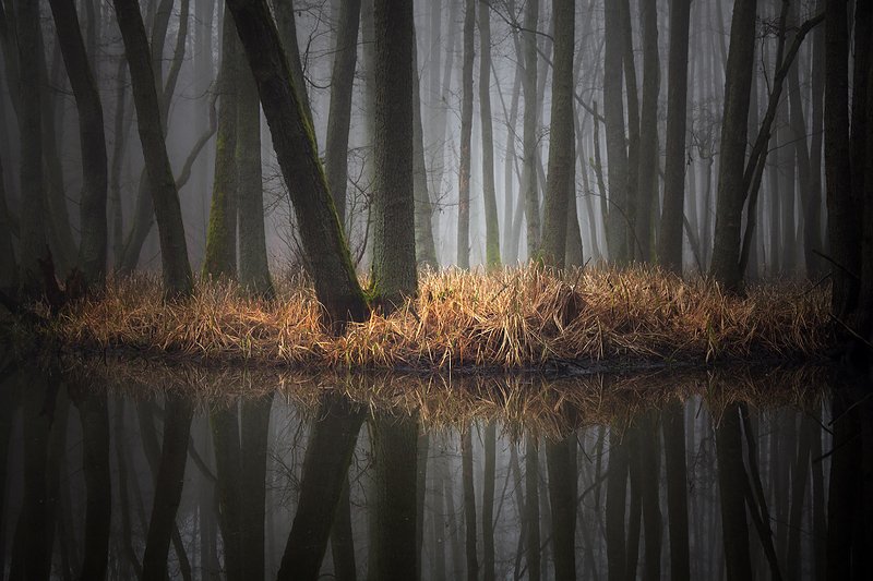 ... фото превью