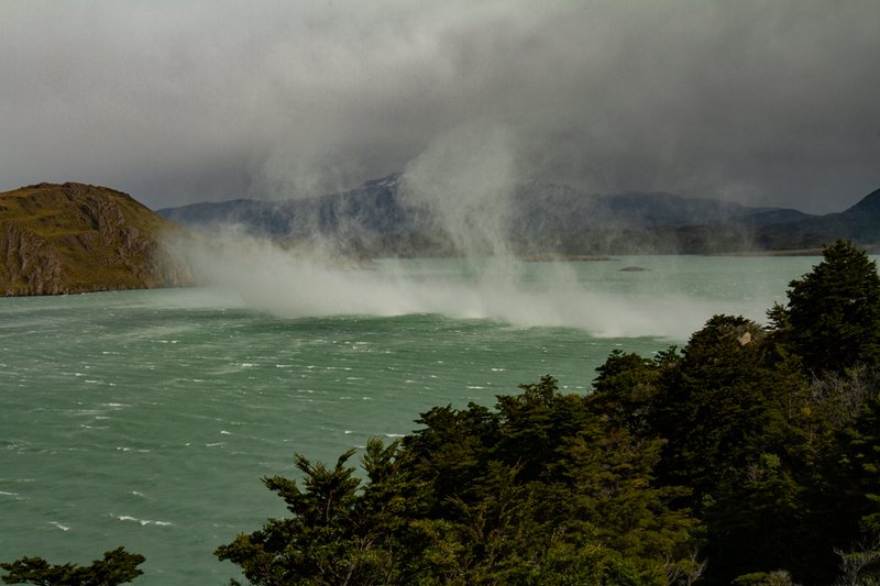 patagonia Водные кони. фото превью