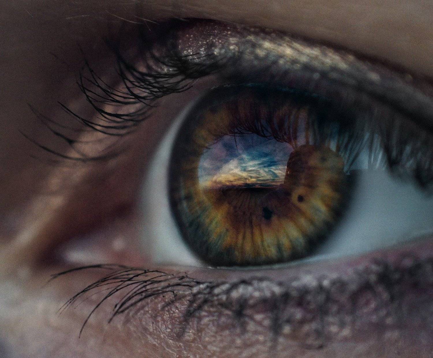 , Никоноров Александр