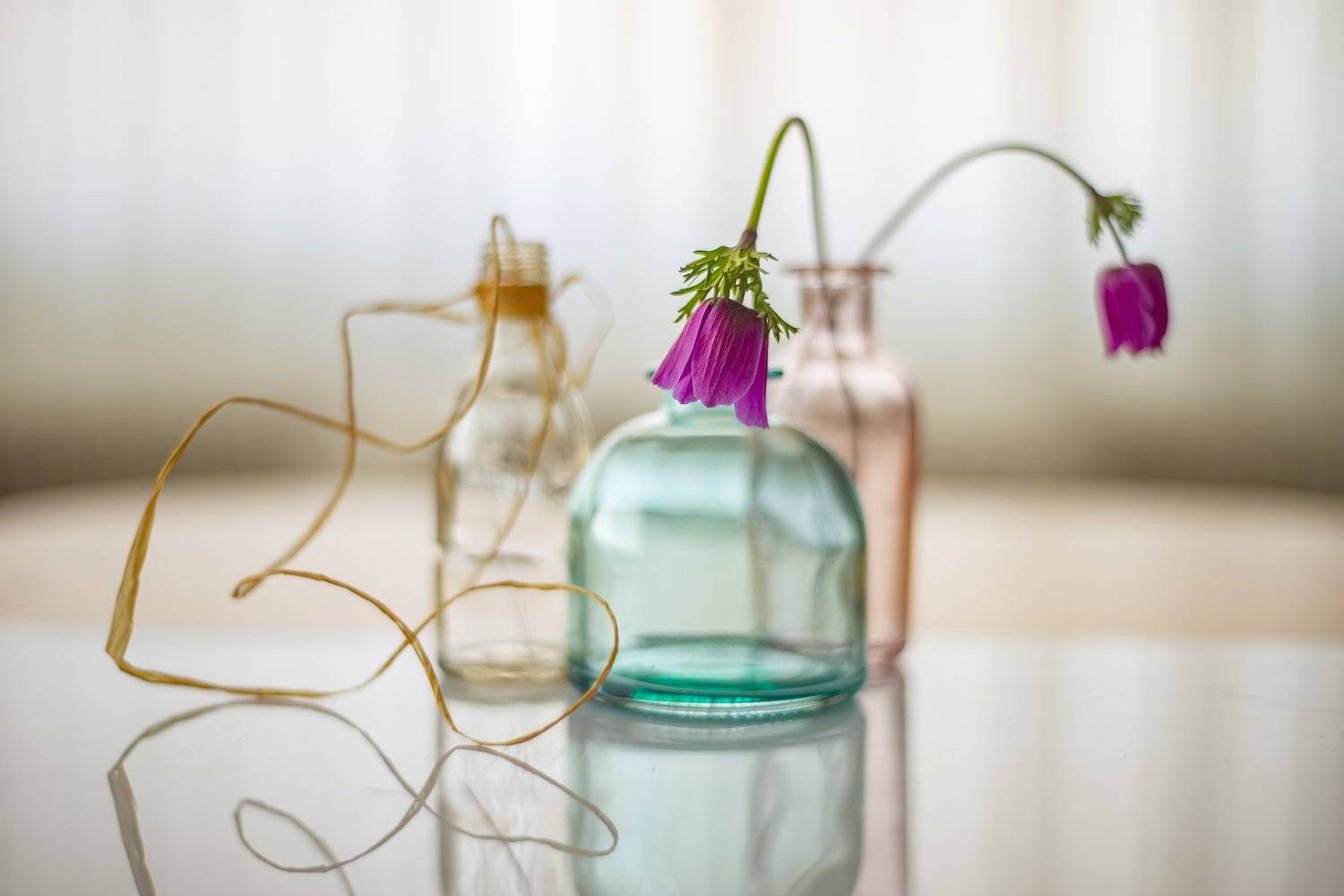 , mehmet enver karanfil