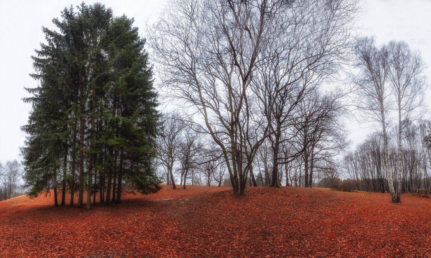 , Павел Сагайдак