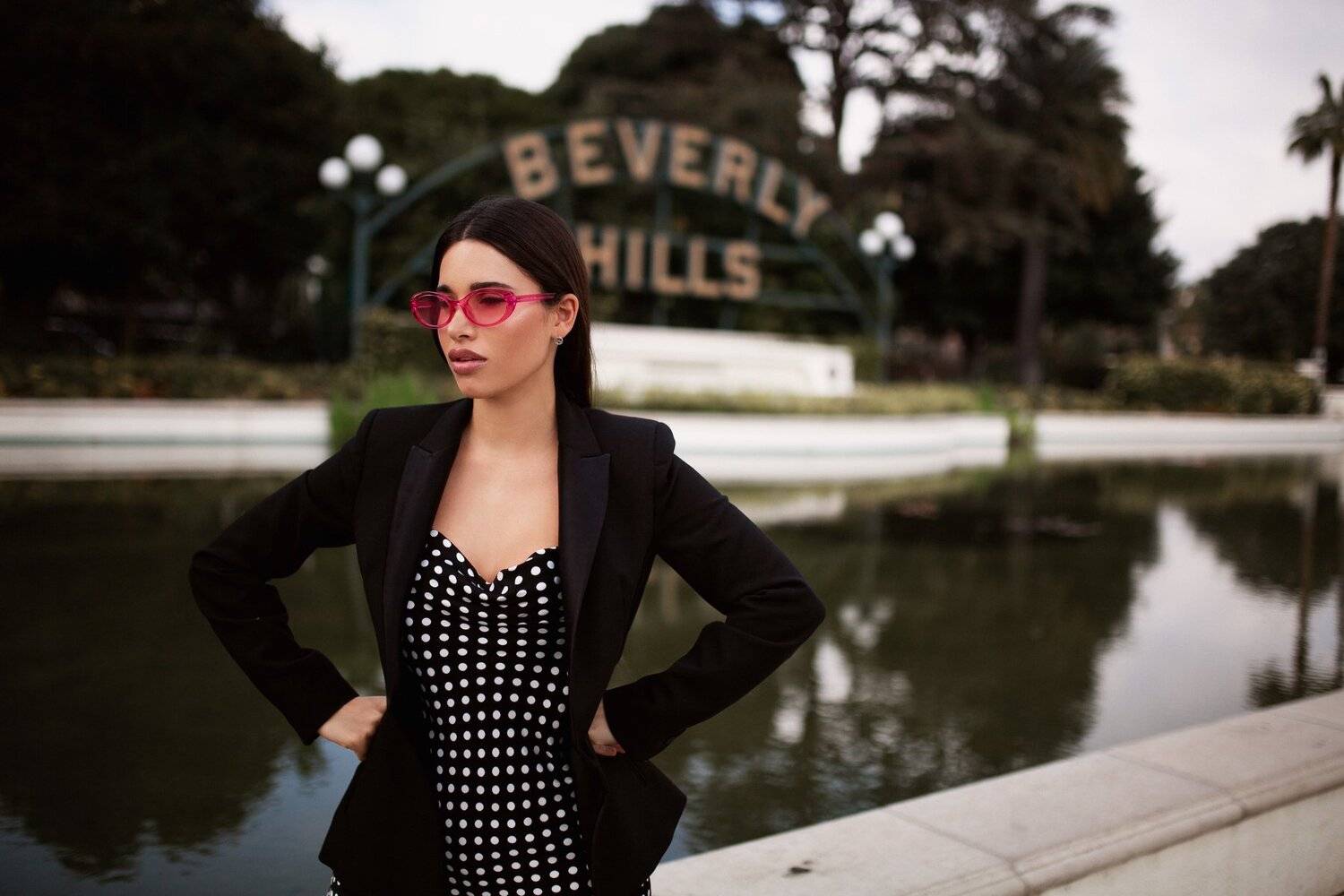 Beverly Hills. sergioartg, Sergei Goncharov