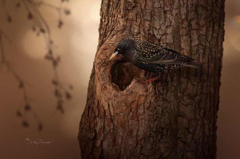 Пришла пора искать жилье фото превью